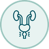 Cáncer de Próstata​