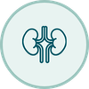 Cáncer de Riñón