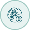 Litotripsia Láser​